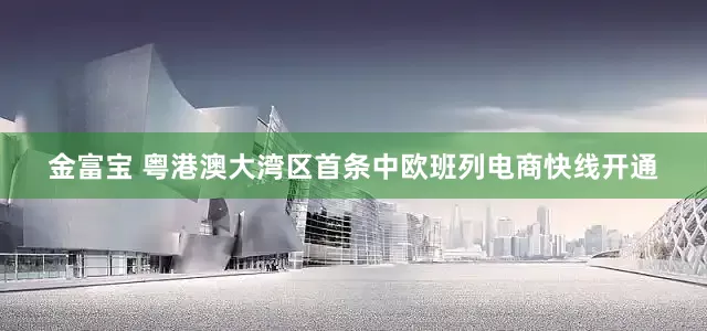 金富宝 粤港澳大湾区首条中欧班列电商快线开通