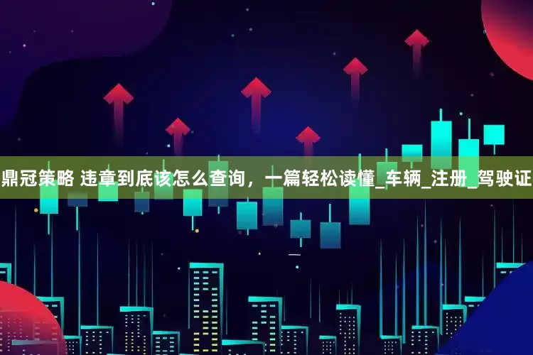 鼎冠策略 违章到底该怎么查询，一篇轻松读懂_车辆_注册_驾驶证