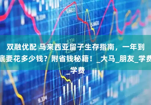 双融优配 马来西亚留子生存指南，一年到底要花多少钱？附省钱秘籍！_大马_朋友_学费