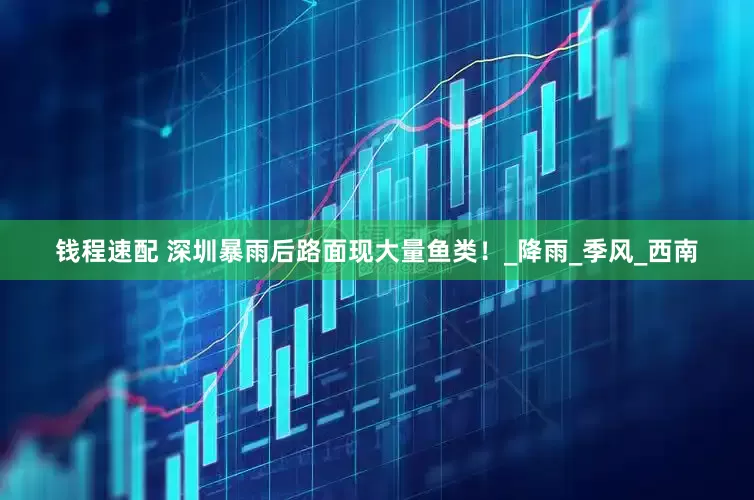 钱程速配 深圳暴雨后路面现大量鱼类！_降雨_季风_西南