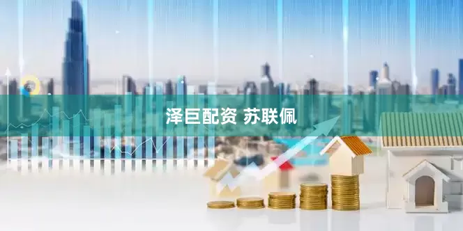 泽巨配资 苏联佩